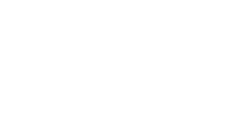 Conecta Imóveis Logo